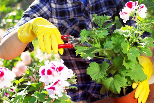 Garden waste pricing for a neat residential front garden
