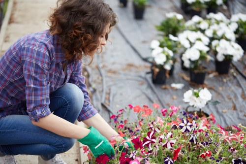Landscape gardening in Hook with patio and planting design