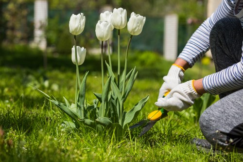 Safety-focused gardening team checking site conditions