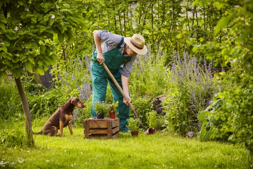 Decking services in Hook for a modern garden transformation