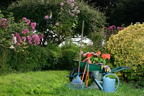 Seasonal pruning and plant care in a Hook garden