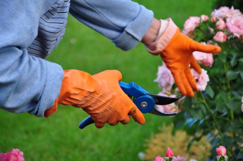 Image 5 symbolizing ethical business practices and zero tolerance at Gardeners Hook