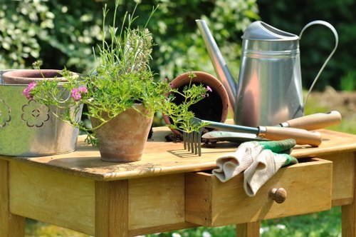 Healthy green lawn care in Hook during spring