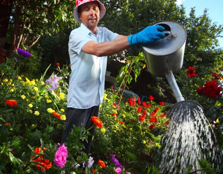 Professional gardening support in Hook with shrubs and lawn maintenance