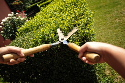 Composite and timber decking options available in Hook