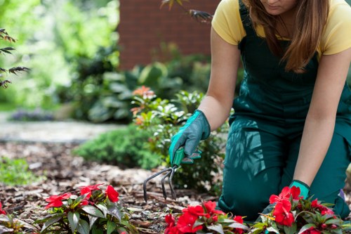 Gardeners Hook service maintaining a balanced and attractive garden