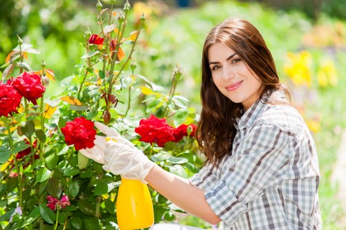 Internal review after a gardening complaint