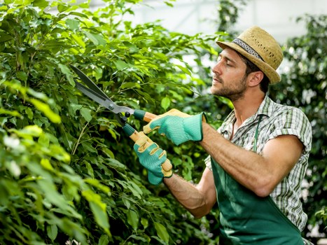 Secure Gardeners Hook checkout with SSL protection