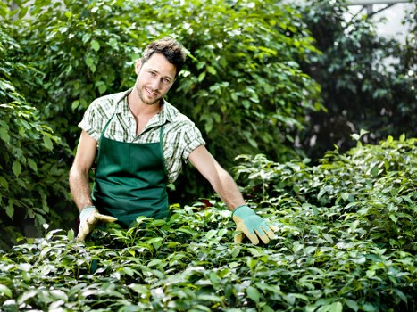 Seasonal hedge maintenance in Hook for a well-kept property