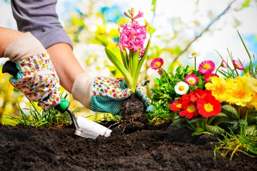 Illustration representing marketing cookies and targeted content on Gardeners Hook