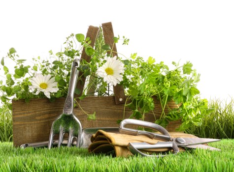Professional garden waste clearance in Hook for a tidy outdoor space