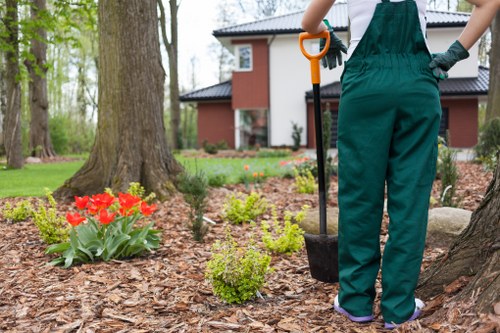 Well-kept residential lawn care in Hook
