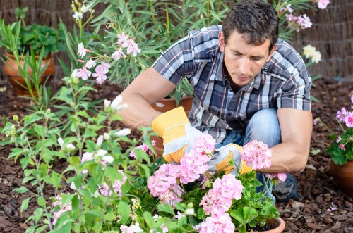 Gardeners Hook bank transfer and compliant payment process
