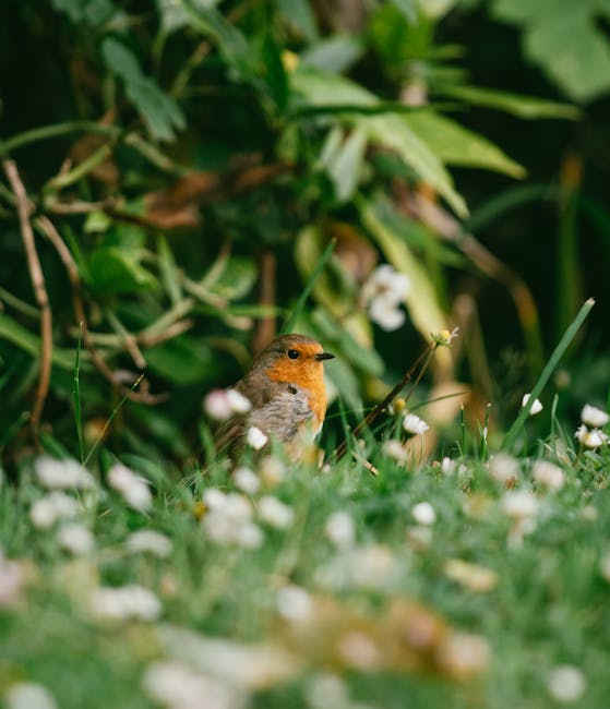A blackbird on a grassy garden bed holding a wriggling earthworm in its beak, surrounded by tall, green, leafy plants and vibrant yellow and purple flowers. The garden features a well-maintained lawn 