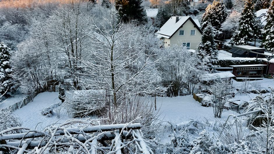 A wintery garden scene featuring a snow-covered landscape with bare deciduous trees and evergreen shrubs dusted with snow. The garden beds are blanketed in white, with some branches of bushes and smal
