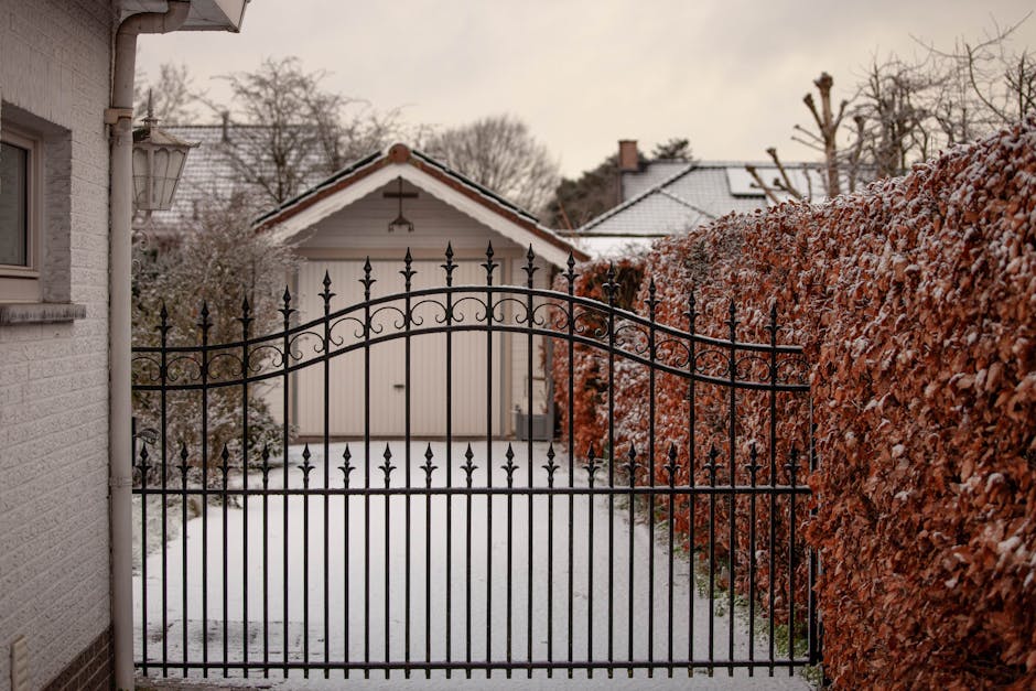 A wintery garden scene featuring a snow-covered landscape with bare deciduous trees and evergreen shrubs dusted with snow. The garden beds are blanketed in white, with some branches of bushes and smal