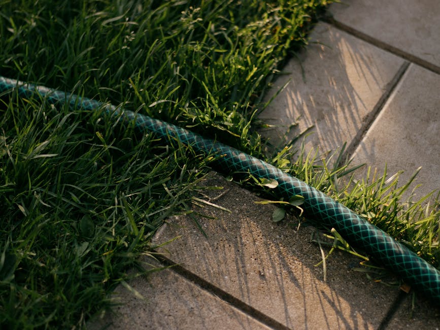 Close-up image of a garden edging where vibrant green grass meets a concrete pathway. The grass appears lush and well-maintained, with some blades overlapping the edge of the stone slabs. A garden hos